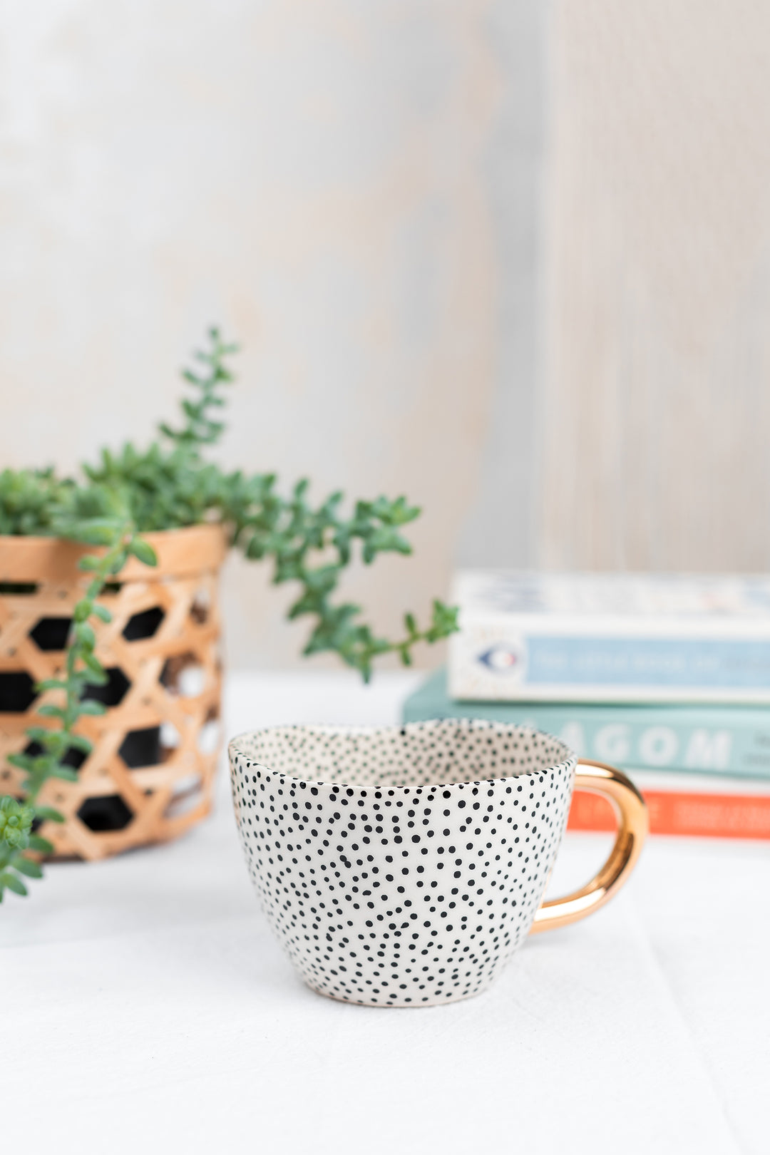 Chia Cup No.22