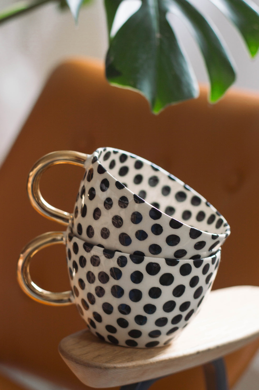 Chia Cup No.8