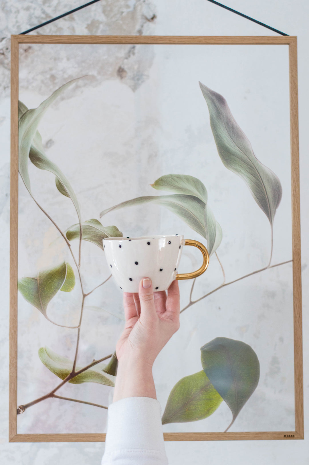 Chia Cup No.21