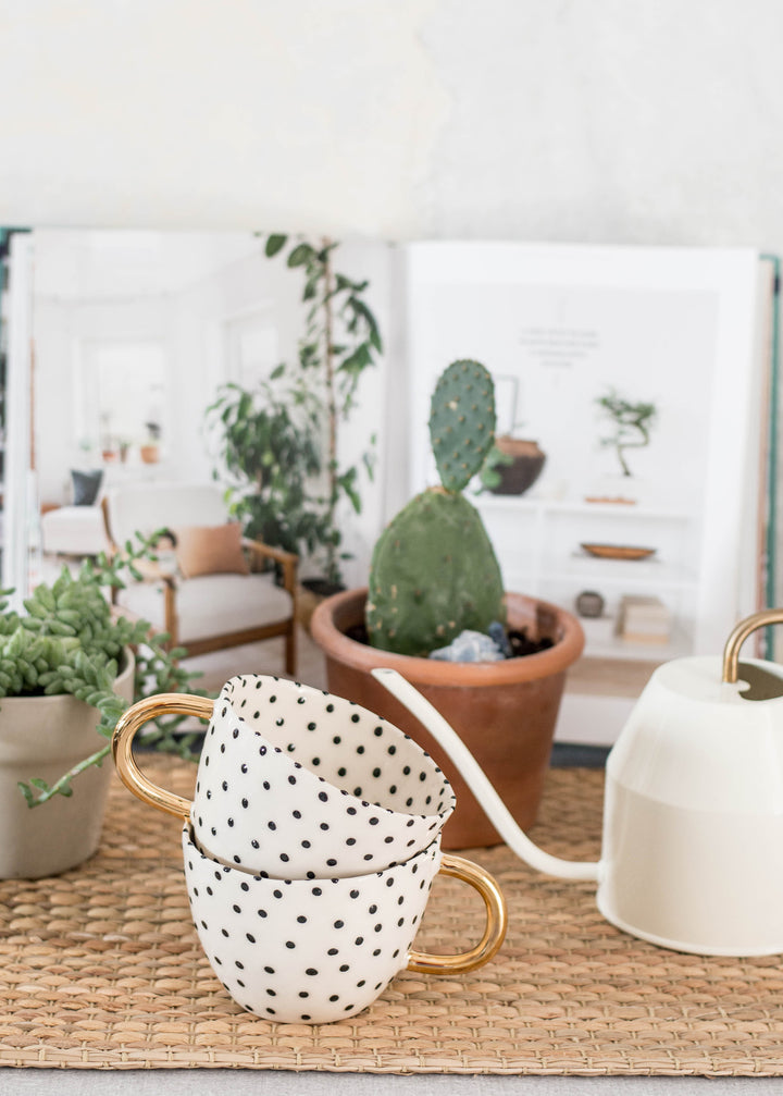 Chia Cup No.18